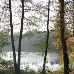 IMG_1544