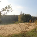 IMG_1550