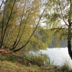 IMG_1557