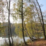 IMG_1559