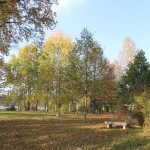 IMG_1560