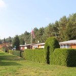 IMG_1570