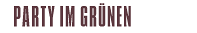 Party im Grünen